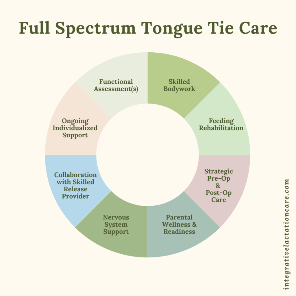 a colorful wheel with eight sections describing elements o full spectrum tongue tie care
